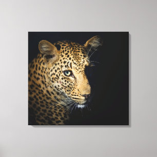 Close up of Leopard, Greater Kruger National 2 Canvas Print