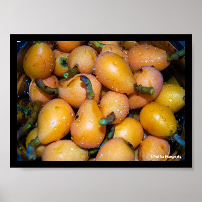 Close up of Loquat Fruit Poster (Front)