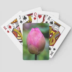 Close-up of lotus flower bud, Bali Playing Cards