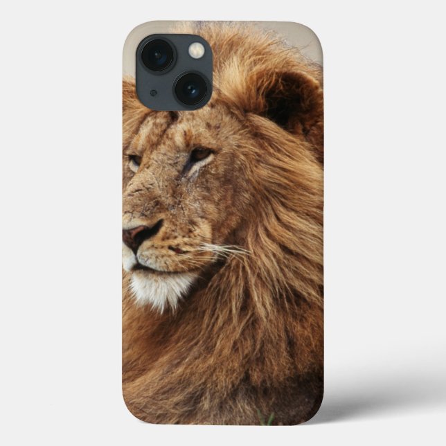 Close-up of male Lion Case-Mate iPhone Case (Back)