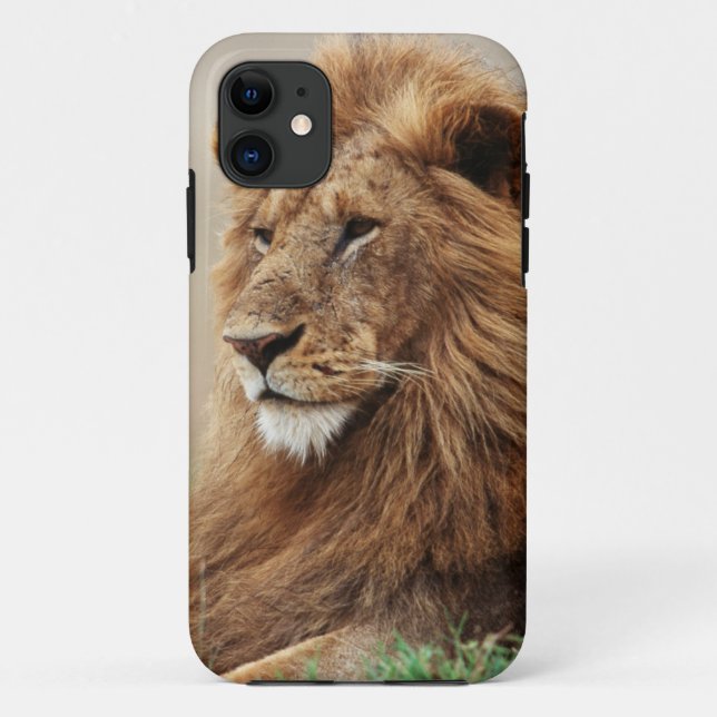 Close-up of male Lion Case-Mate iPhone Case (Back)