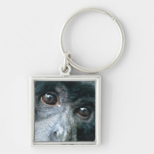 Close-up of monkey key ring
