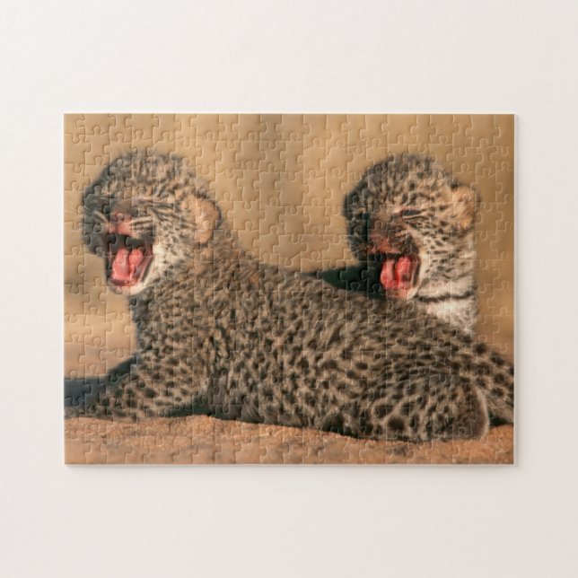 Close-Up Of New Born Leopard (Panthera Pardus) Jigsaw Puzzle (Horizontal)