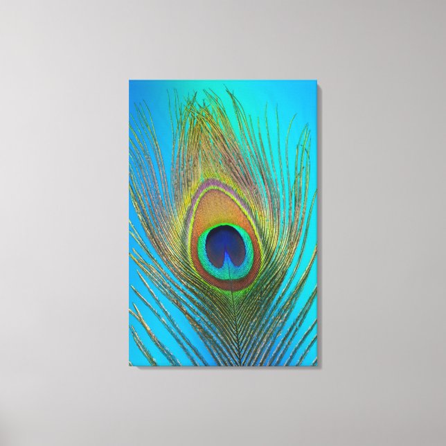Close up of peacock feather canvas print (Front)
