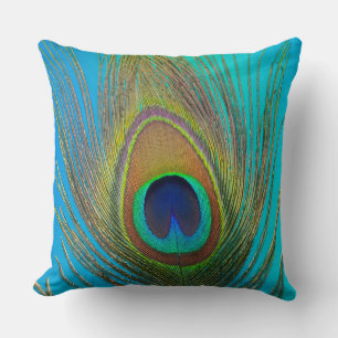 Close up of peacock feather cushion