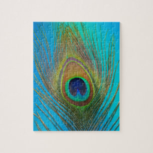 Close up of peacock feather jigsaw puzzle