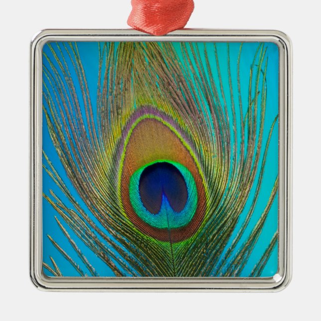 Close up of peacock feather metal tree decoration (Front)