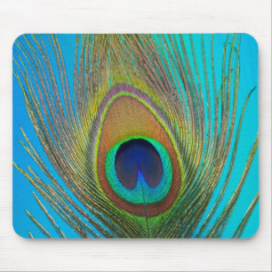 Close up of peacock feather mouse pad