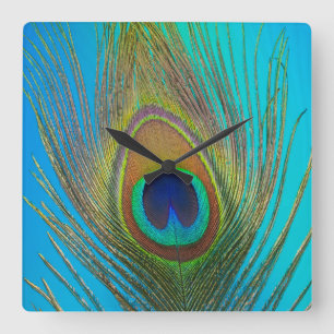 Close up of peacock feather square wall clock