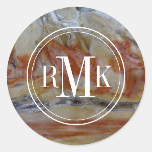 Close Up Of Petrified Wood Classic Round Sticker
