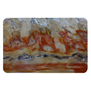 Close Up Of Petrified Wood Magnet