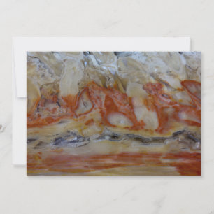 Close Up Of Petrified Wood Thank You Card