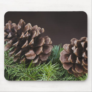 Close-up of pine cone mouse pad