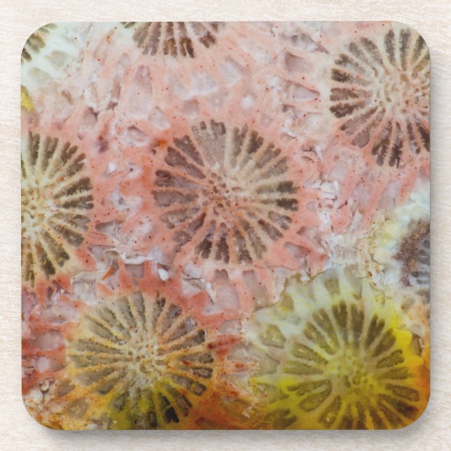Close Up Of Pink Coral Coaster (Front)