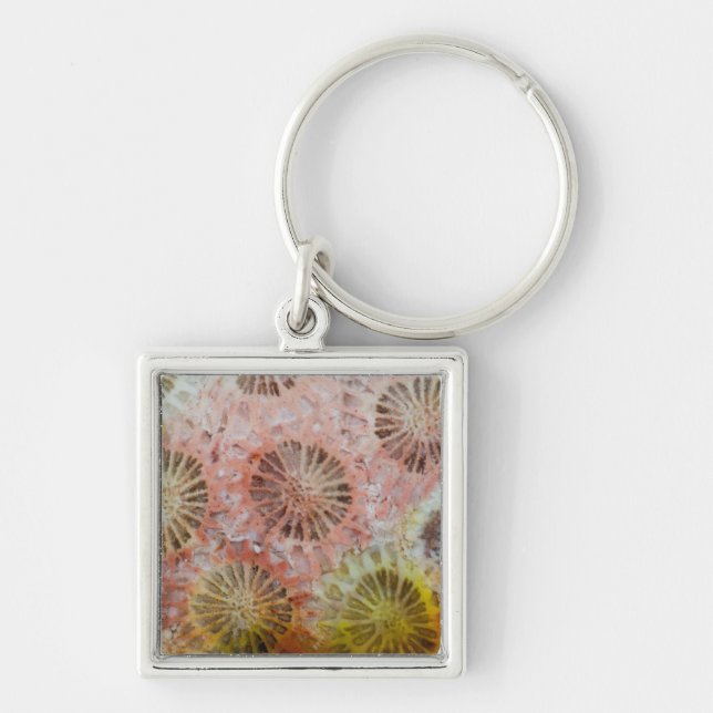 Close Up Of Pink Coral Key Ring (Front)