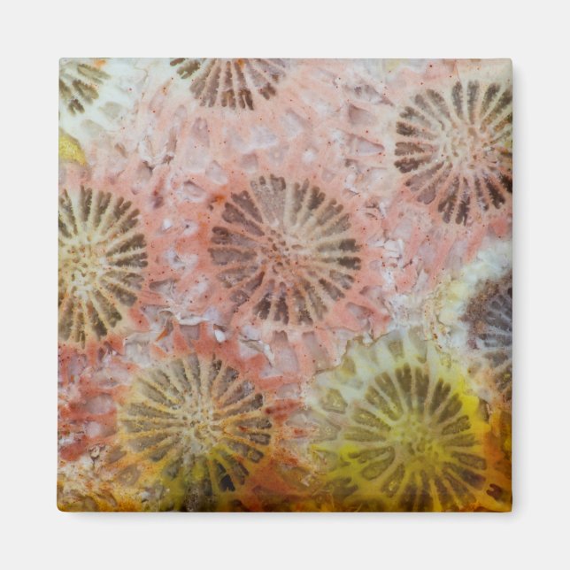 Close Up Of Pink Coral Magnet (Front)