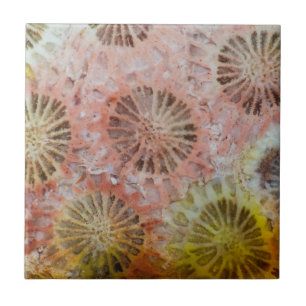 Close Up Of Pink Coral Tile