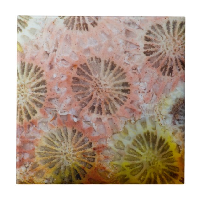 Close Up Of Pink Coral Tile (Front)