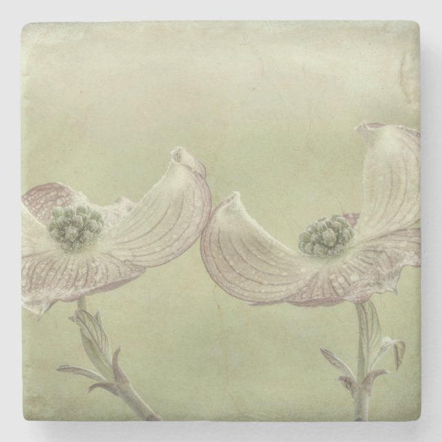 Close-up of Pink Dogwood Blossoms | Seabeck, WA Stone Coaster (Front)