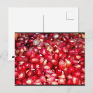 Close-up of Pomegranate Seeds Postcard