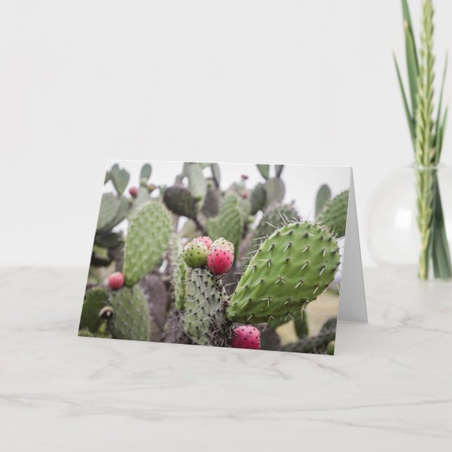 Close Up Of Prickly Pear Cactus Card (Front)