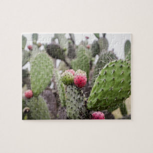 Close Up Of Prickly Pear Cactus Jigsaw Puzzle
