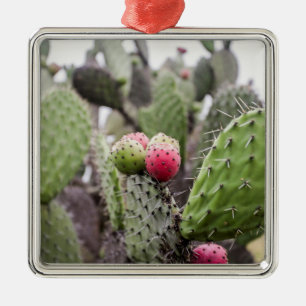 Close Up Of Prickly Pear Cactus Metal Tree Decoration