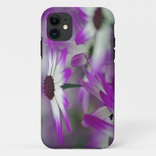 Close-up of purple flower, Keukenhof Garden, iPhone 11 Case