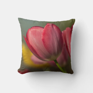 Close-up of red and yellow tulips in garden cushion