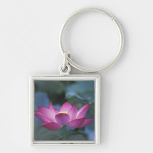 Close-up of red lotus flower and green leaves, key ring