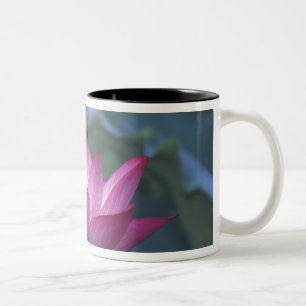 Close-up of red lotus flower and green leaves, Two-Tone coffee mug