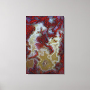 Close up of Red Moss Agate Slab Canvas Print