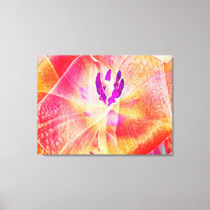 Close up of Red Tulip Abstract Canvas Print
