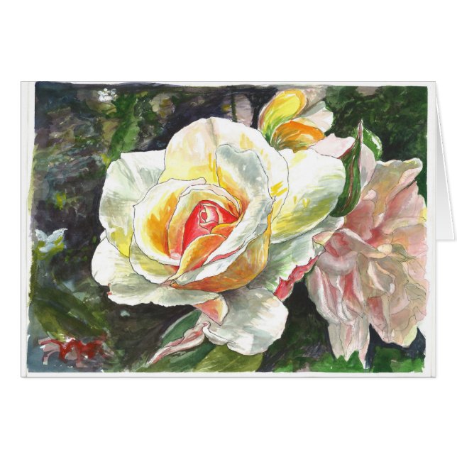 Close-up of Roses (Front Horizontal)