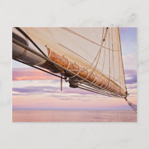 Close-Up Of Sail And Ropes Maine, Camden Postcard