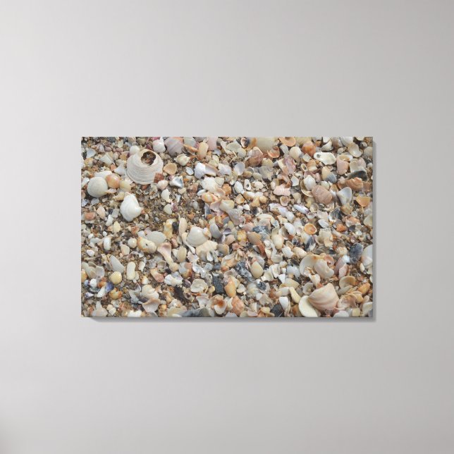 Close-up of Sand and Tiny Shells on Beach Canvas Print (Front)
