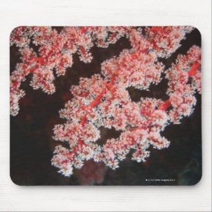 Close-up of Sea Fan underwater, North Sulawesi Mouse Pad