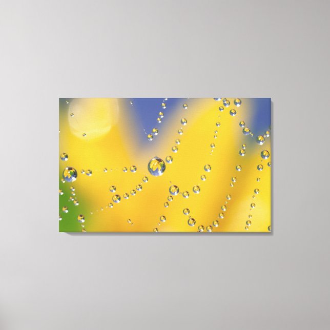 Close-up of spider web with dew drops canvas print (Front)