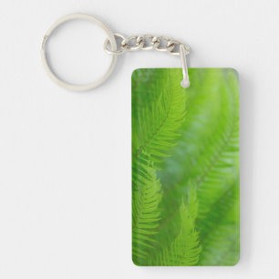 Close-up of sword fern key ring