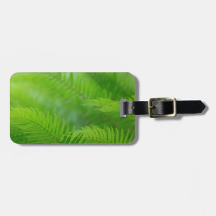 Close-up of sword fern luggage tag