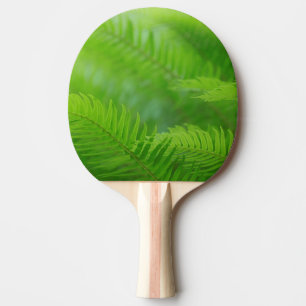 Close-up of sword fern ping pong paddle