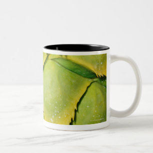 Close-up of texture and pattern of tropical tree Two-Tone coffee mug