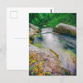 Close-up of the pond upstream the waterfall postcard
