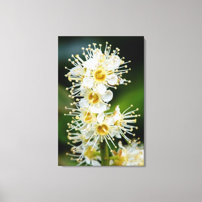 Close-up of tiny flowers canvas print (Front)