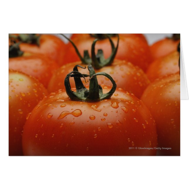 Close-up of tomatoes 2 (Front Horizontal)