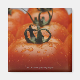Close-up of tomatoes 2 magnet