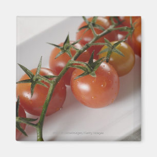 Close-up of tomatoes on a tray magnet