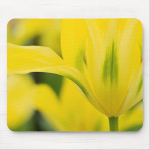 Close-up of tulip 2 mouse pad