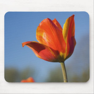 Close-up of tulip flowers mouse pad