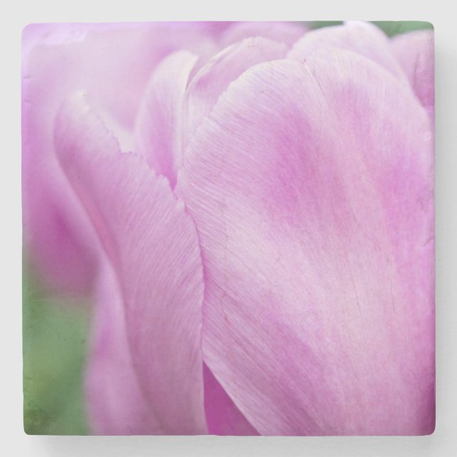 Close-up of tulip stone coaster (Front)
